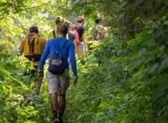 Balade forestière – Samedi 13 juin