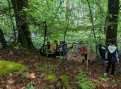 La balade des Grumelots