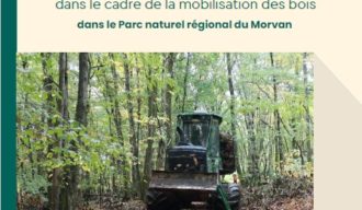 image actualité