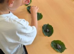 Pierre, feuille, bâton, jouons nature !