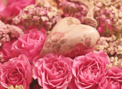 Expo-vente de la fête des mères