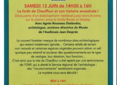La forêt de Chauffour et son histoire ancestrale !
