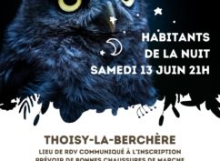 Sortie nature « Les habitants de la nuit »