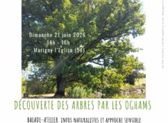 Balade nature symbolique LES ARBRES