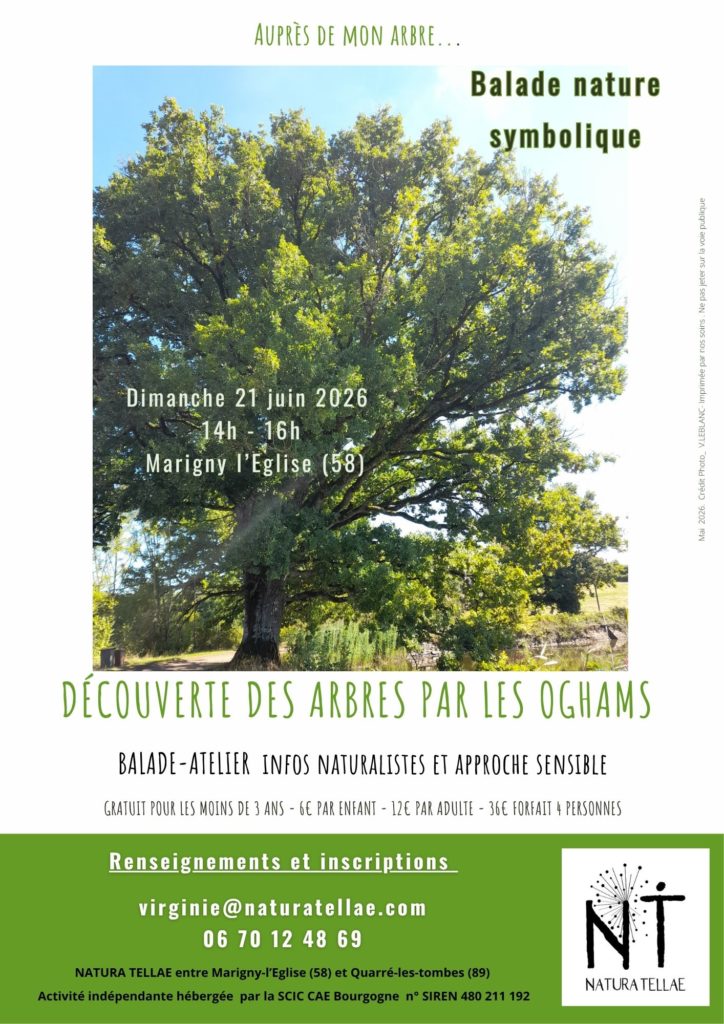 photo evenement