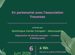 Découvertes de plantes du sommeil dans des jardins d&rsquo;Avallon