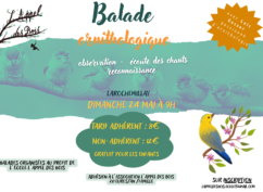 Balade ornithologique