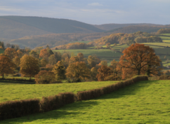 Visite zoom : les paysages du Morvan