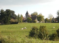 Visite guidée : Balade nature à Saint-Seine