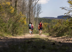 Festi Trail