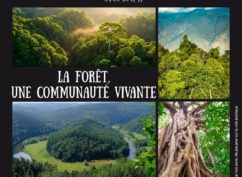 La forêt : une communauté vivante de Yann Arthus-Bertrand