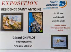 Exposition Mr Gérard CHIFFLOT