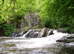 Balade « Le Saut de Gouloux, un site emblématique du Morvan » – Vendredi 24 juillet