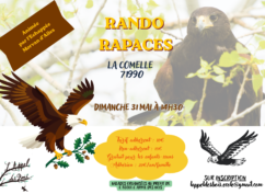Rando Rapaces