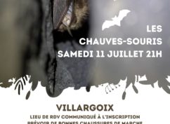 Sortie nature Villargoix