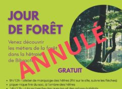 ANNULÉ ! Jour de forêt à Bibracte