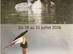 Exposition « A Tire d&rsquo;Ailes »