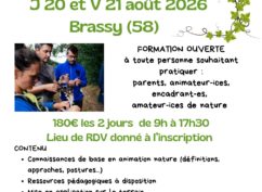 STAGE, Débuter en Animation Nature