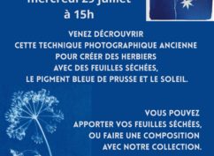Atelier Cyanotype