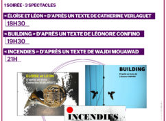 #FDTM – « Building » d&rsquo;après un texte de L.Confino