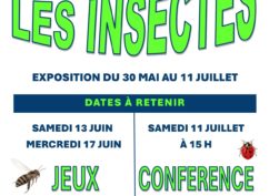 A la bibliothèque les insectes