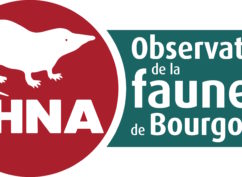 Portes ouvertes de la Bibliothèque de la SHNA-OFAB