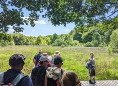 Balade nature : Les sources de l’Yonne, archives vivantes – Jeudi 16 juillet