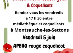 Vendredi ludo, biblio, rigolo, bricolo, Coquelicots