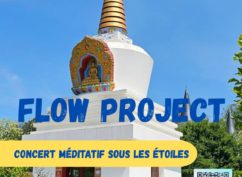 Concert méditatif sous les étoiles