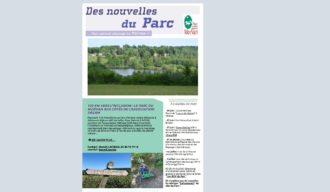 image actualité