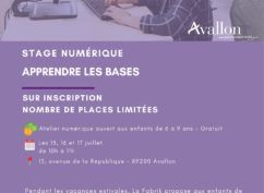 Stage numérique – Apprendre les bases