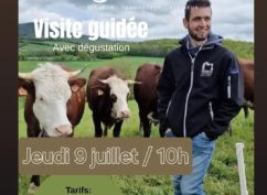 Visite guidée d’une fromagerie