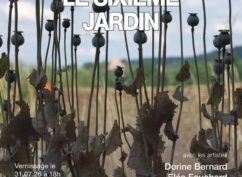 Arroser le sixième jardin
