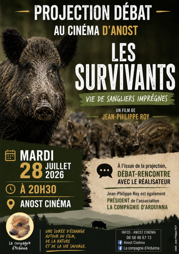 photo evenement
