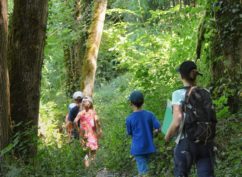 COMPLET ! Randonnée commentée : Le long de la Cure entre rivière, forêt et bocage – 29 juillet