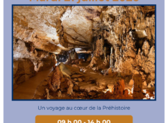 Découverte des Grottes d’Arcy
