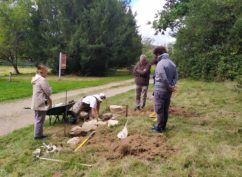 JEP 2026 – Démonstration de construction en pierre sèche