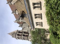 Visite guidée de la cathédrale et de son quartier canonial