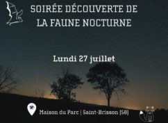 Découverte de la faune nocturne à la Maison du Parc