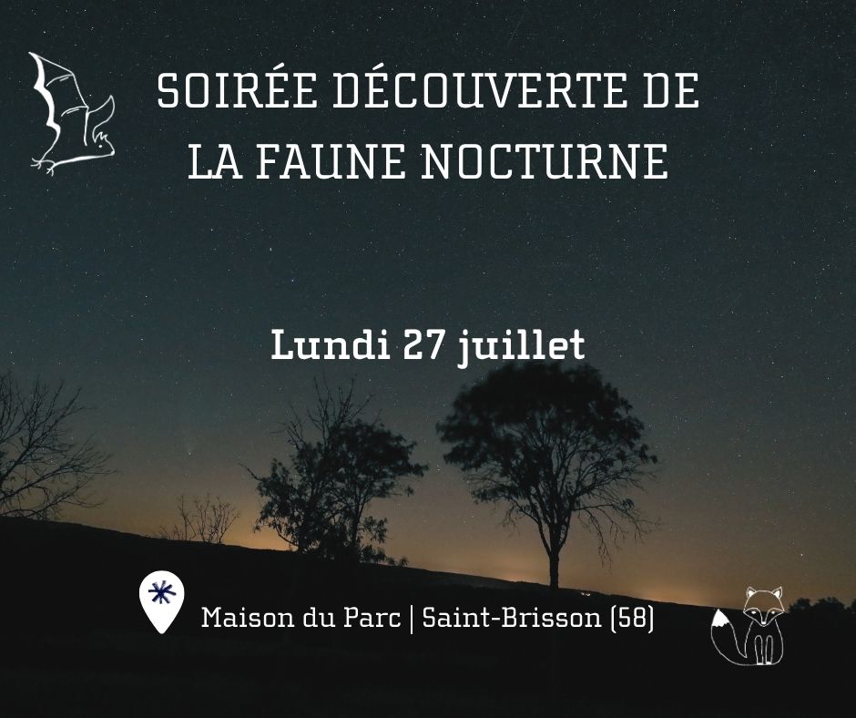 photo evenement