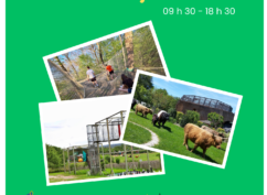 Sortie DivertiParc
