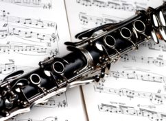 Concert duo : Christian Maës et Nicolas Nageotte