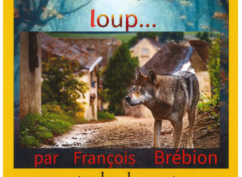Spectacle de contes – Quand on parle du loup…