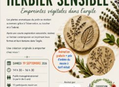 Atelier « Herbier sensible »