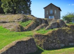 Balade nature et patrimoine : sauvages de ma rue (Journées Européennes du Patrimoine)