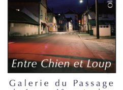 Exposition « Entre chien et loup »