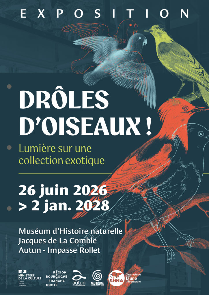 photo evenement