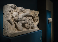Visite guidée de l’exposition « Merveilles Choisies »