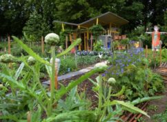 Bienvenue dans mon jardin au naturel, pour l’eau et la santé