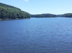 Circuits des lacs du Morvan